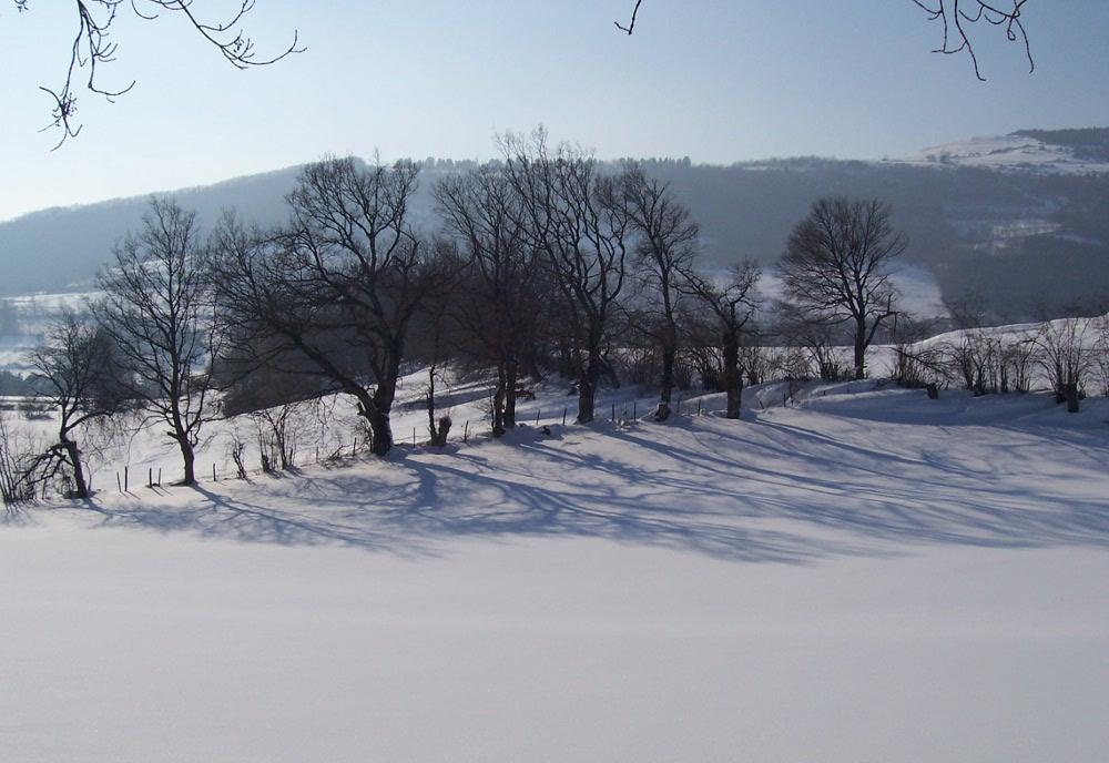plateau matheysin: les bruneaux (isère 38)